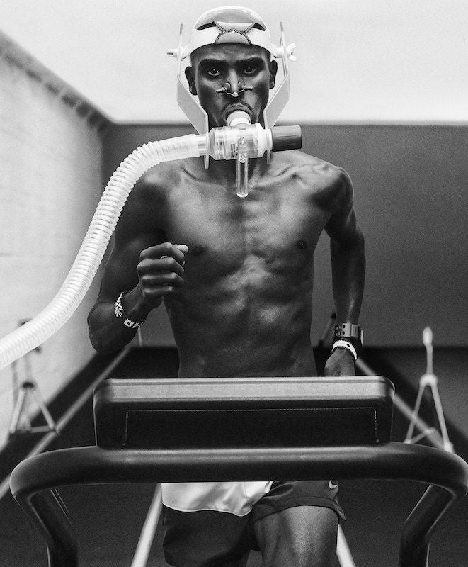 Functional Mushrooms for Athletes: Enhancing Endurance and Recovery with Cordyceps and Reishi