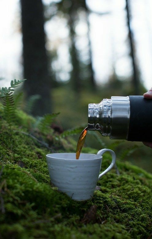 Sustainable Sipping: How Mushroom Coffee Supports the Planet