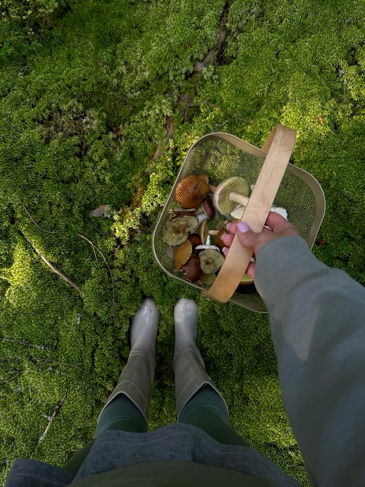 Rawdose Mushroom Coffee: A Smarter Approach to Energy, Focus, and Daily Dosing