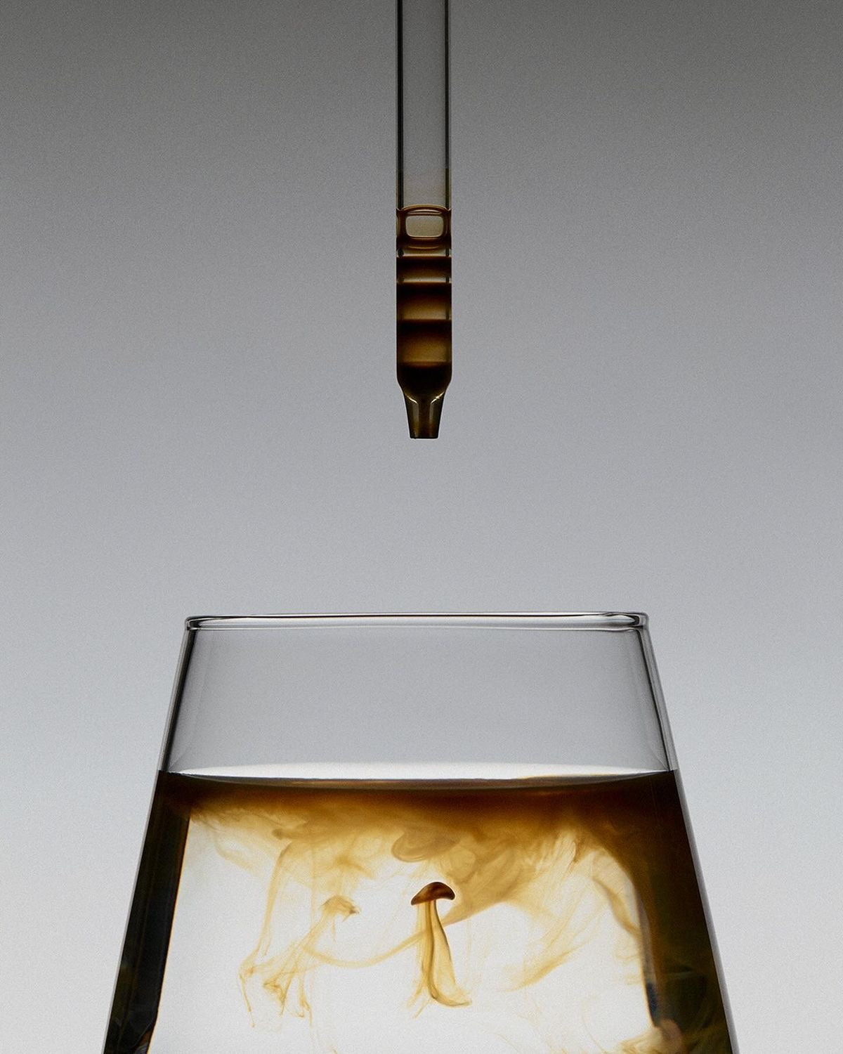 Adaptogenic Coffee Explained: The Science Behind Lion’s Mane, King Trumpet and Turkey Tail